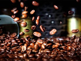 How To Roast Arabica Coffee Beans