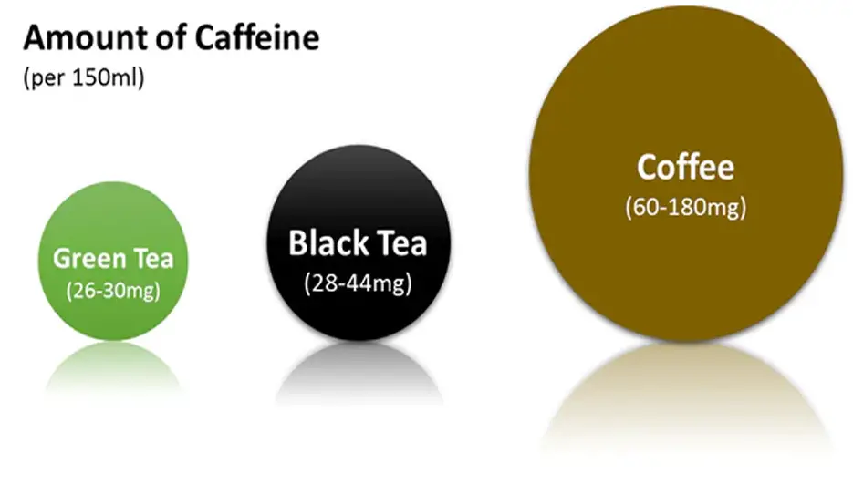 How much caffeine does green tea have