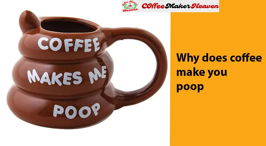 why does coffee make you poop